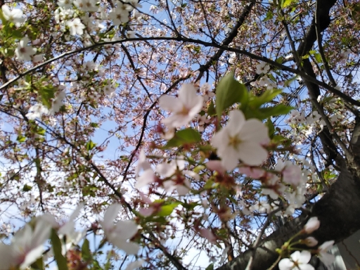 ５月のトップ画像