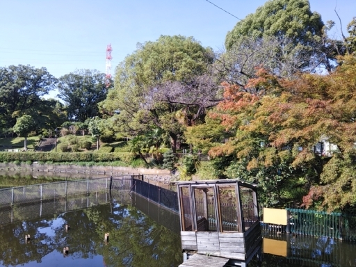 １１月のトップ画像