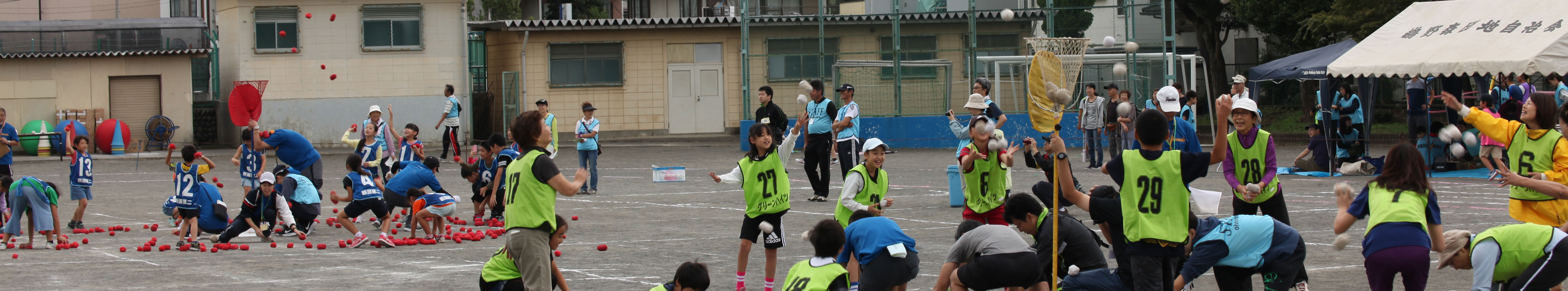 top-image